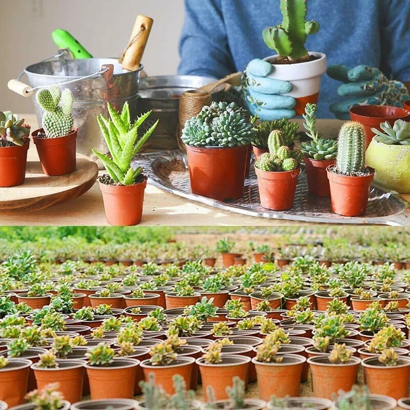 Conjunto de 75 Potes para Muda de Plantas