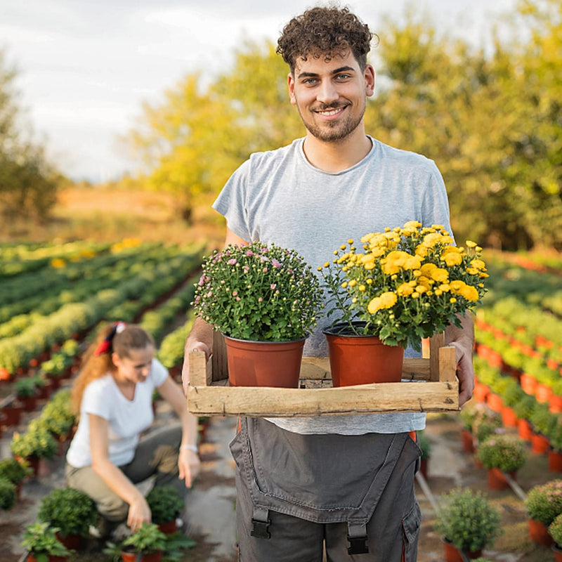 Conjunto de 75 Potes para Muda de Plantas